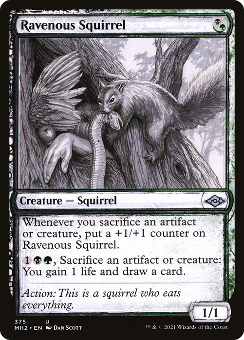Ravenous Squirrel (MH2-375) - uncommon: (Showcase) - Foil