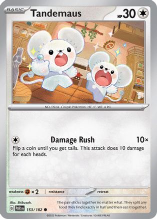 Tandemaus (153/182) - SPR  - Common