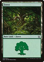 Forest (DDU-032) - common