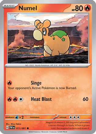 Numel (011/091) - SPF  - Common