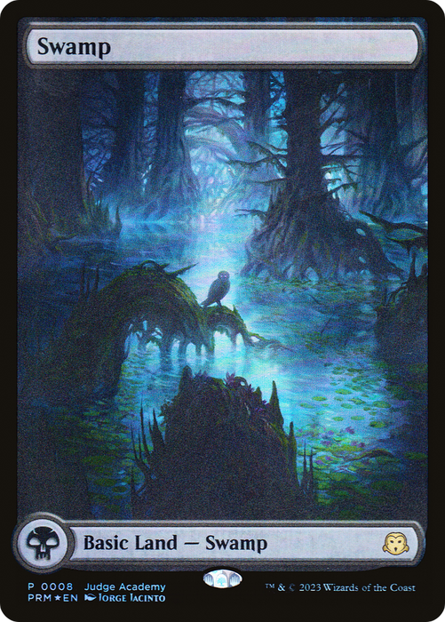 Swamp (JDG-008) - rare: (Full Art) - Foil