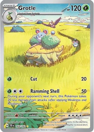 Grotle (164/162) - STF  - Illustration Rare - Holofoil