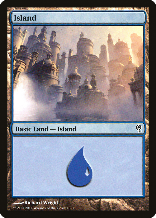 Island (DDM-040) - common