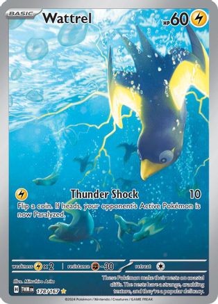 Wattrel (178/167) - STM  - Illustration Rare - Holofoil