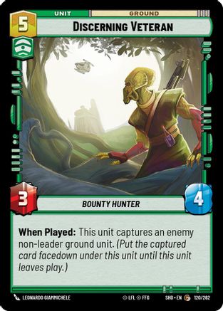 Discerning Veteran (120/262) - SOTG - Common