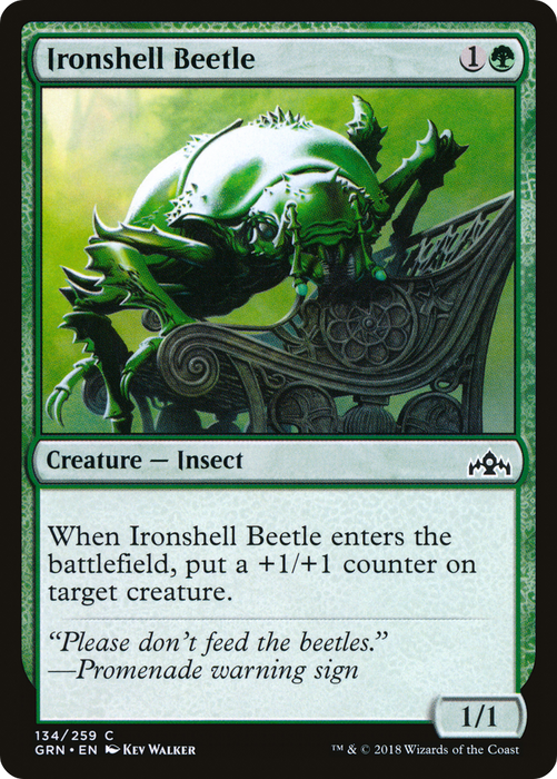 Ironshell Beetle (GRN-134) - common