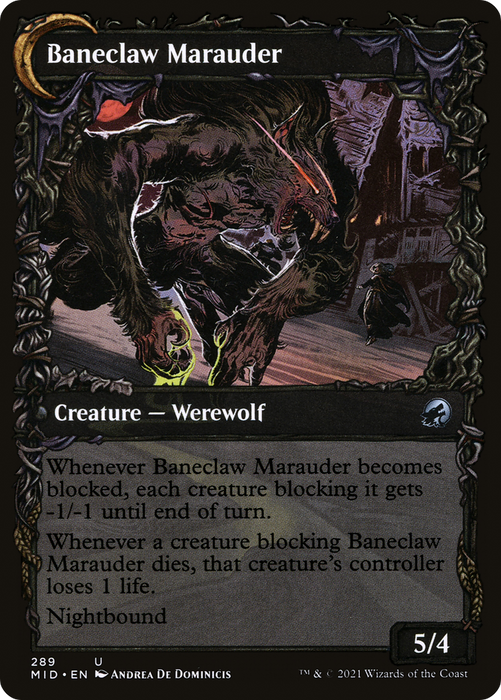 Baneblade Scoundrel // Baneclaw Marauder (MID-289) - uncommon: (Showcase, Double Faced Transform) - Foil