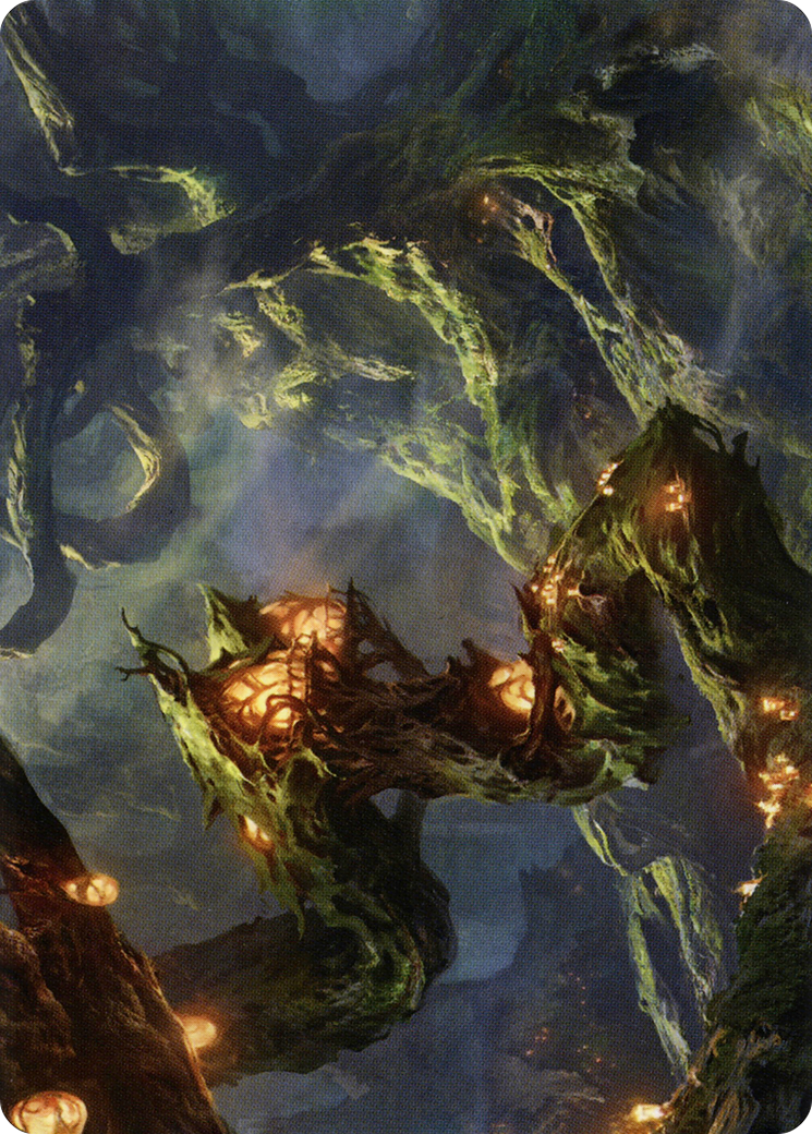 Forest // Forest (ASTX-050) - common (Borderless) - Foil