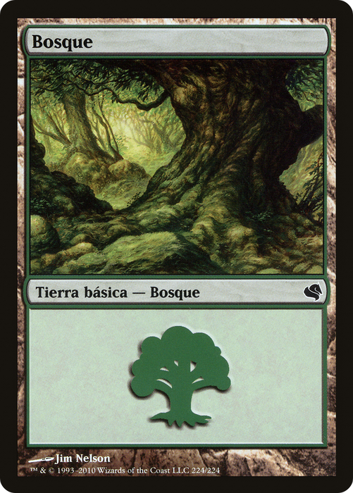 Forest (PS11-224) - common