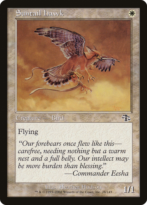 Suntail Hawk (JUD-028) - common