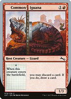Common Iguana (UST-079) - common