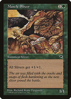 Muscle Sliver (TMP-238) - common