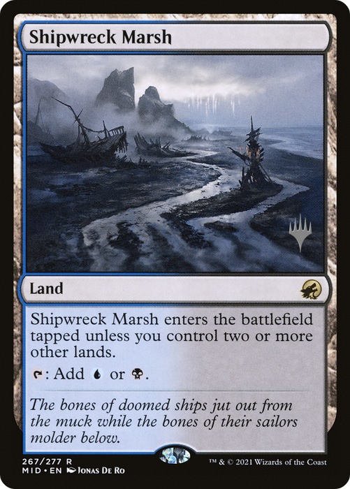 Shipwreck Marsh (PPMID-267P) - rare
