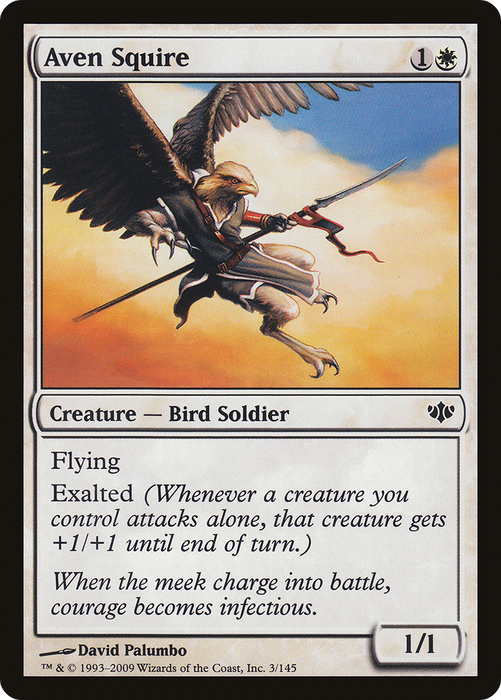 Aven Squire (CON-003) - common - Foil