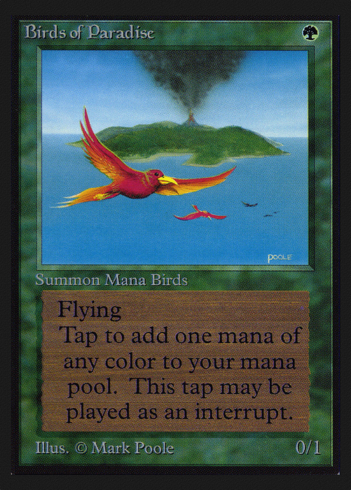 Birds of Paradise (CED-187) - rare