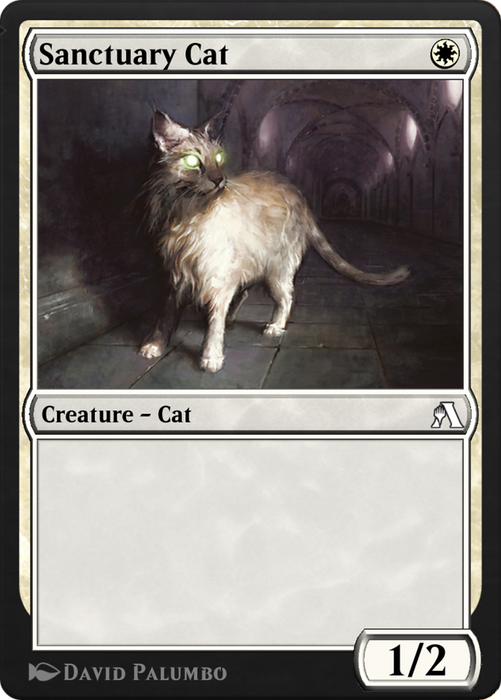 Sanctuary Cat (ANB-017) - common