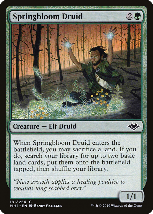 Springbloom Druid (MH1-181) - common - Foil