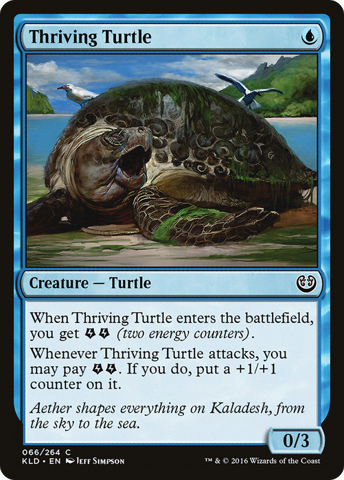 Thriving Turtle (KLD-066) - common