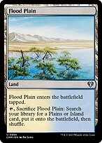Flood Plain (CMM-994) - uncommon