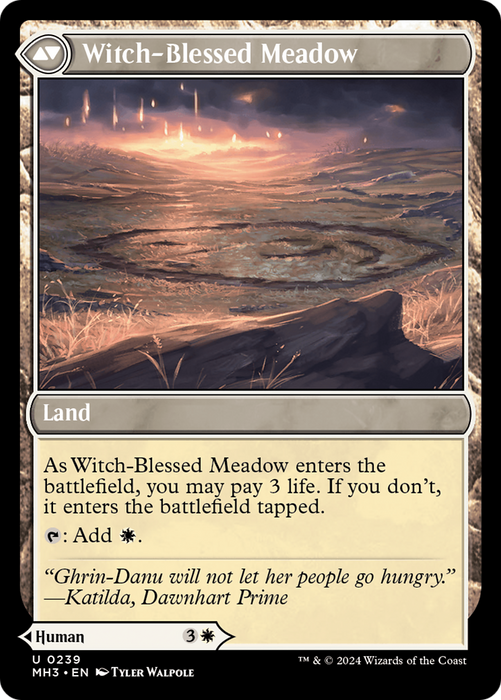 Witch Enchanter // Witch-Blessed Meadow (MH3-239) - uncommon