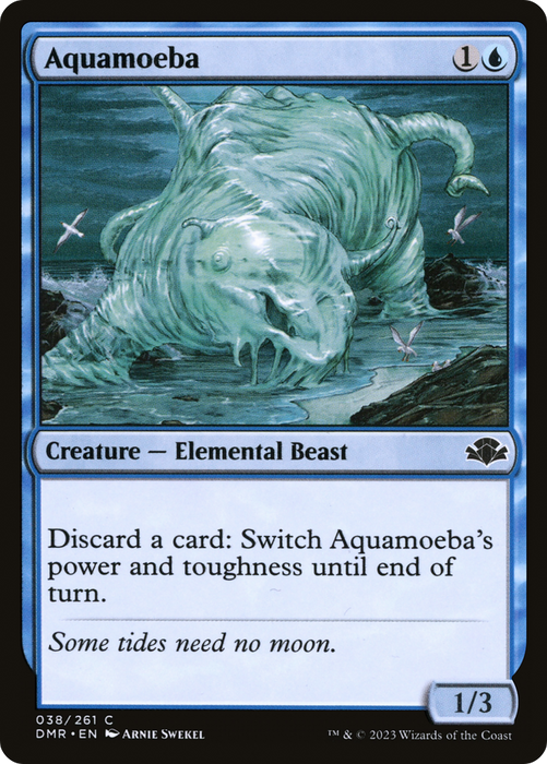 Aquamoeba (DMR-038) - common - Foil
