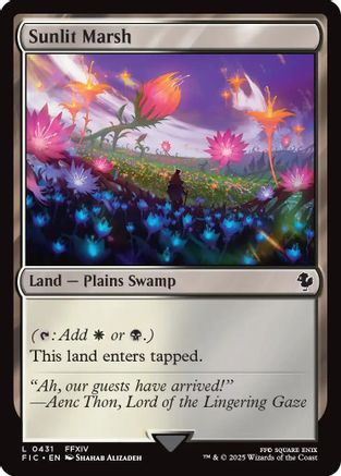 Sunlit Marsh (FIC-431) - land