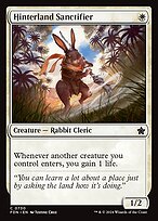 Hinterland Sanctifier (FDN-730) - common
