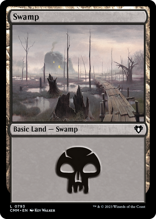 Swamp (CMM-793) - common