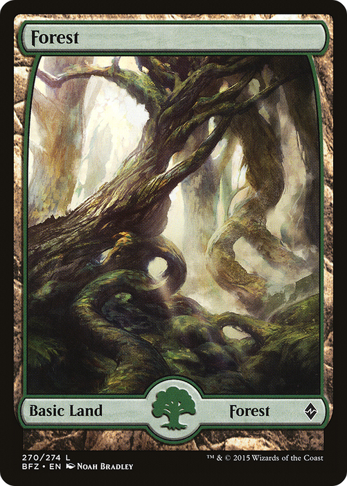 Forest (BFZ-270) - common