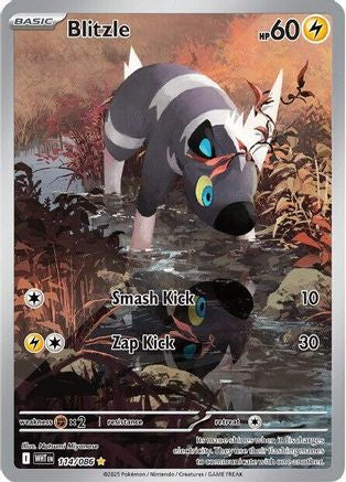 Blitzle (114/086) - SWF  - Illustration Rare - Holofoil