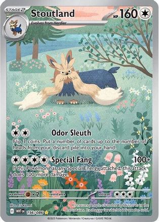 Stoutland (156/086) - SWF  - Illustration Rare - Holofoil