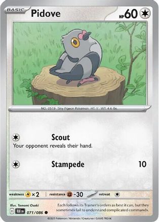 Pidove (071/086) - SBB  - Common - Reverse Holofoil