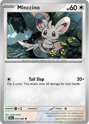 Minccino (075/086) - SBB  - Common - Reverse Holofoil
