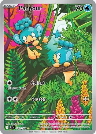 Panpour (101/086) - SBB  - Illustration Rare - Holofoil
