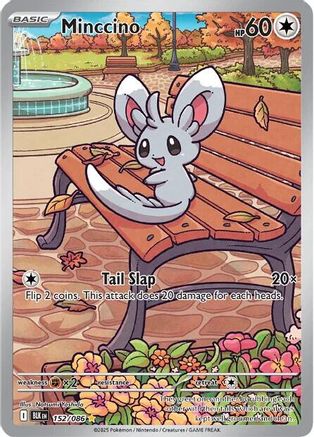 Minccino (152/086) - SBB  - Illustration Rare - Holofoil