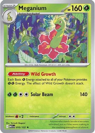 Meganium (010) - MME  - Rare - Holofoil