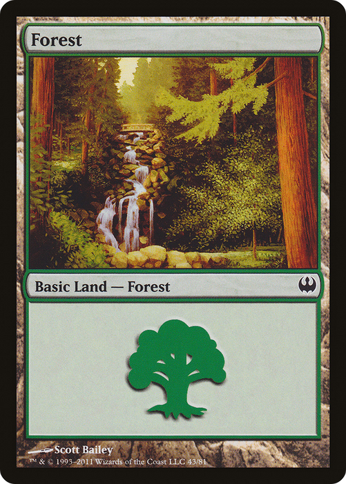 Forest (DDG-043) - common