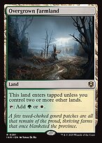 Overgrown Farmland (INR-281) - rare - Foil