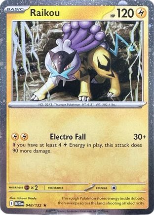 Raikou (048/132) - MCP  - Promo - Holofoil