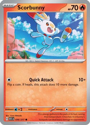 Scorbunny (036/217) - MAH  - Common - Reverse Holofoil