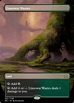Llanowar Wastes (PRM-105880) - rare - Foil