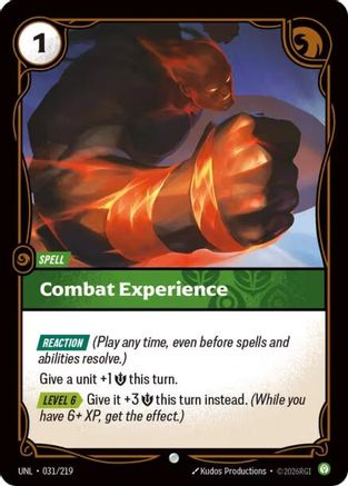 Combat Experience (031/219) - UNL - Common - Foil
