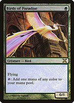 Birds of Paradise (10E-252★) - rare - Foil