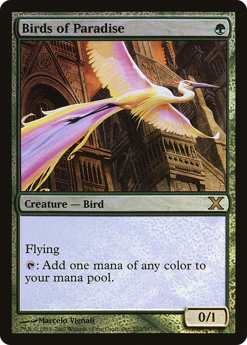 Birds of Paradise (10E-252★) - rare - Foil