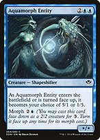 Aquamorph Entity (DDN-054) - common