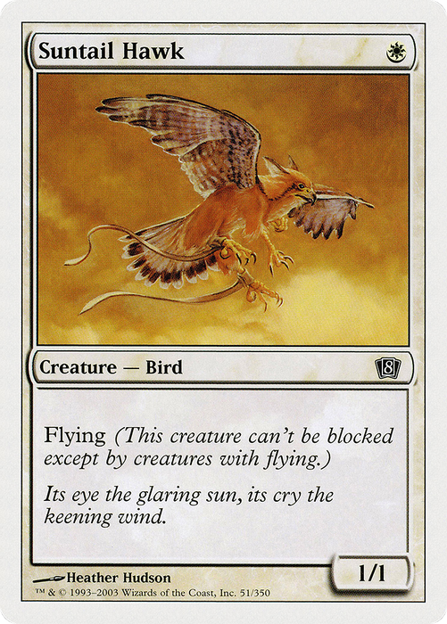 Suntail Hawk (8ED-051) - common