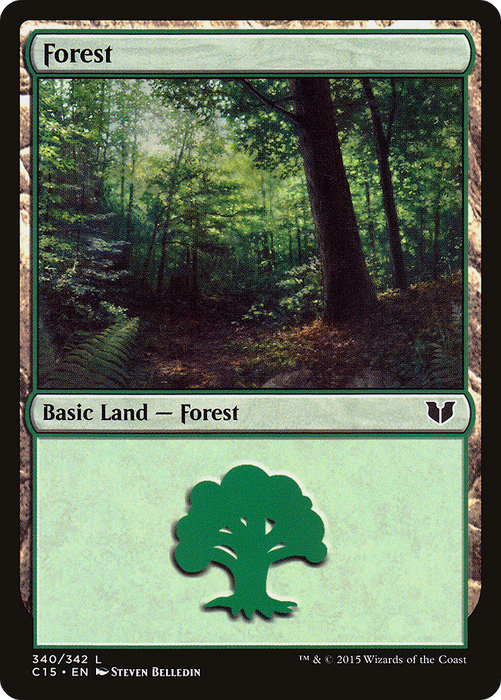 Forest (C15-340) - common