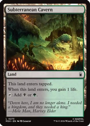 Subterranean Cavern (MSH-273) - land - Foil