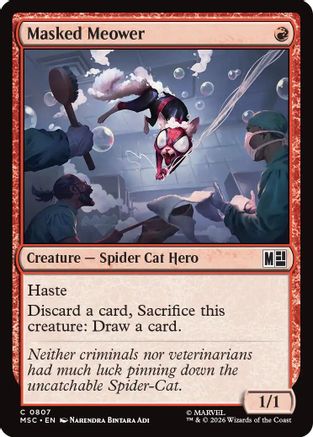 Masked Meower (MSC-807) - common