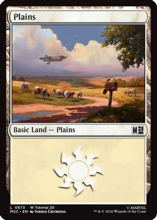 Plains (0873) (MSC-873) - land